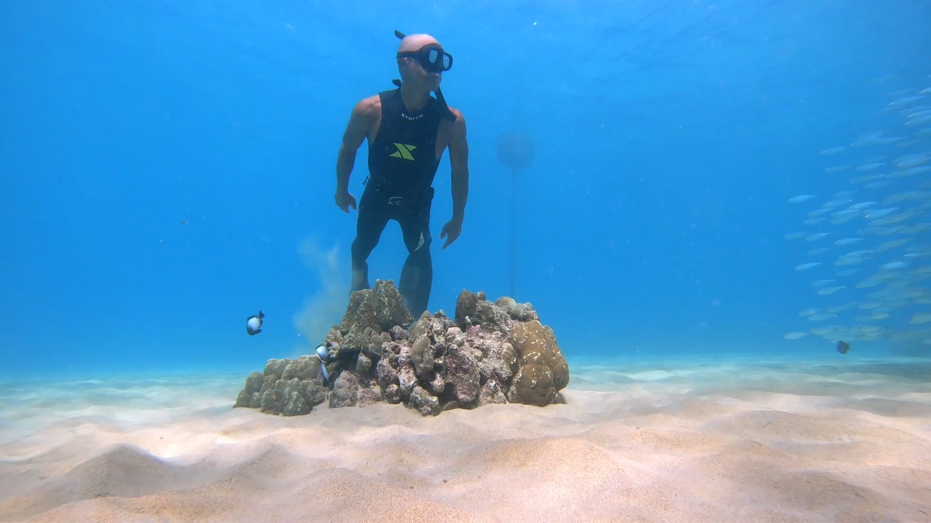 Everything Hawaii:  Below the Surf Zone